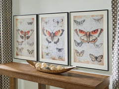 Leasing Furniture - Ashley Furniture - Jossletts Wall Decor - Wall Art Set (3/CN) / Orange/Black/Ivory - A8000490