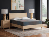Leasing Furniture - Ashley Furniture - 13 Inch Hybrid Hot Buy Mattresses - Queen / Multi - M20731