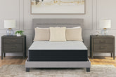 Leasing Furniture - Ashley Furniture - Palisades Firm Mattresses - California King / Gray/Blue - M41551