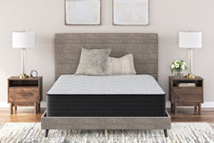 Leasing Furniture - Ashley Furniture - Palisades Plush Mattresses - Twin / Gray/Blue - M41611