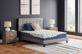Leasing Furniture - Ashley Furniture - 10 Inch Chime Elite 2.0 Mattresses - California King / White/Blue - M42551