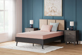 Leasing Furniture - Ashley Furniture - iKidz Coral Mattresses - Twin and Pillow 2/CN / Coral - M43111
