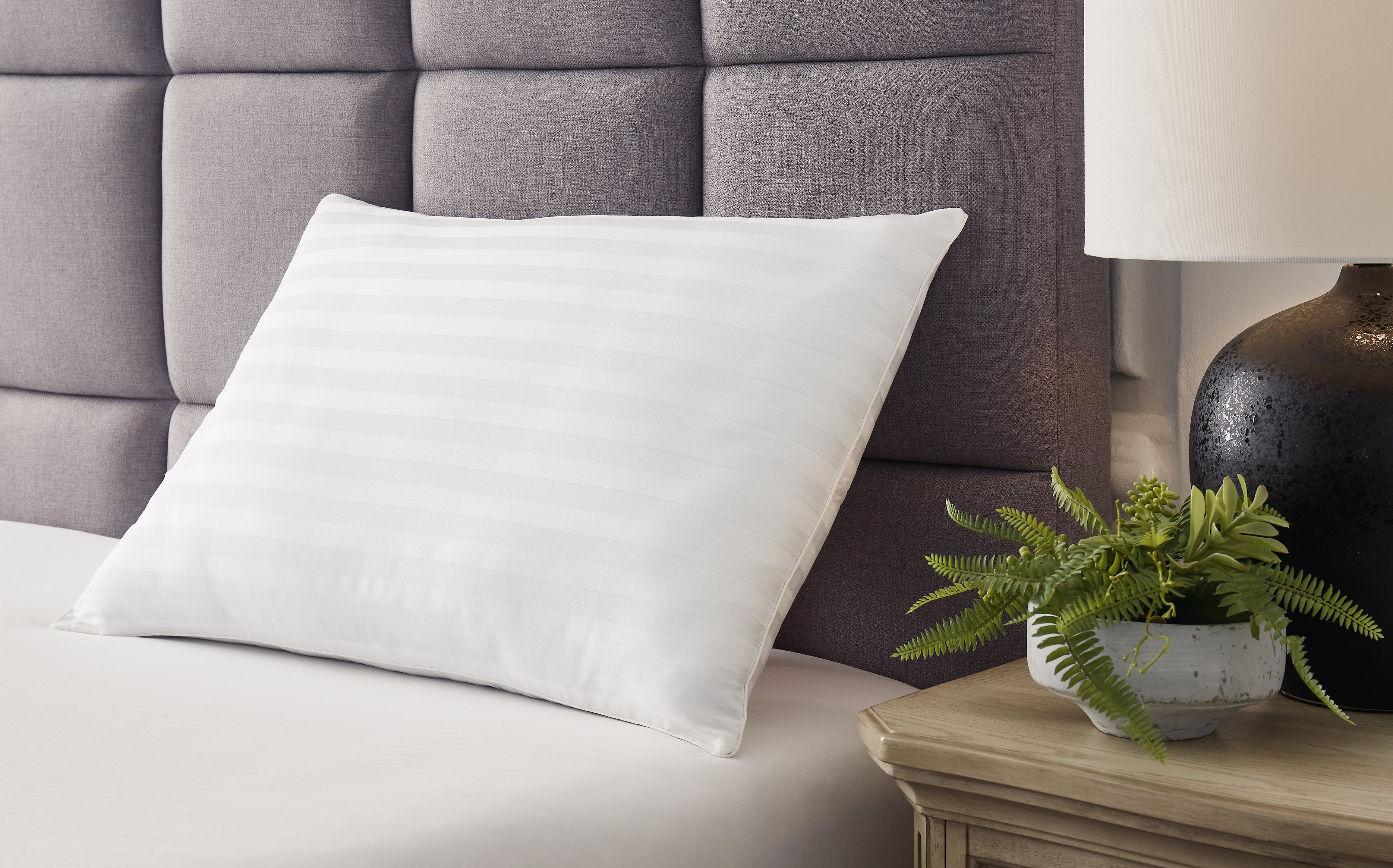Leasing Furniture - Ashley Furniture - Zephyr 2.0 Pillows - Cotton Pillow (Set of 2) / White - M52110P